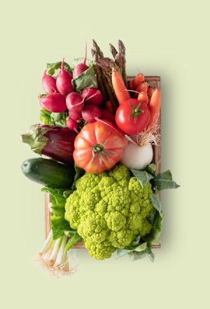 Vg Category Gegetables Fruits Opt